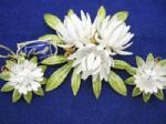 Click on image to see full size image