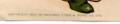 Click on image to see full size image