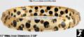 Click on image to see full size image