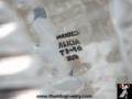 Click on image to see full size image