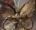 Click on image to see full size image