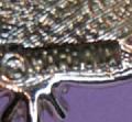 Click on image to see full size image