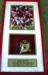 Steve Young Autographed Shadow Box