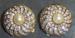 Earrings - High Fashion Rhinestone and Pearl