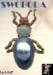 Bug Brooch:  Swoboda Bug Pin Brooch with Genuine Stones