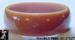 Bakelite:  Vintage Bakelite Bangle - One Inch Toffee Changer