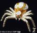 Spider Trinket Box:  Jeweled Spider Collectible Trinket Box
