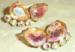 Earrings - Special Soft Pink AB Rhinestones