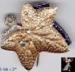 Mazer Sterling Invisibly Set Ivy Leaf Fur Clip