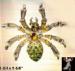Spider Pin: Rhinestone Spider Pin - Peridot Topaz Rhinestone