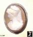 Cameo Brooch:  Vintage Shell Cameo Pin Pendant