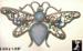 Butterfly Pin: Victorian Style Rhinestone Butterfly Pin