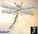 Dragonfly Pin: Swarovski AB Rhinestone Dragonfly Brooch Pin