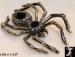 Black Widow Spider Pin | Black Widow Spider Brooch Pin