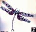Dragonfly Brooch:  Rhinestone Dragonfly Pin Brooch Lavender