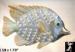 Fish Pin: Enamel Fish Pin, Rhinestone Fish Pin Brooch, Fish