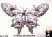 Butterfly Pin: Purple Rhinestone Butterfly Pin, Butterfly