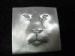 Signed JJ Lion Face Modernistic Silver Tone Brooch