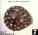 Lucite Rhinestone Ring: Brown Plastic AB Rhinestone Ring
