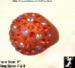 Lucite Plastic Rhinestone Ring Orange, Orange Plastic Ring