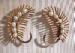 Hallmark Beautiful Gold Filled Cultured Pearl Earrings