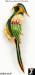 Parrot Pin: Colorful Enamel Rhinestone Parrot Pin Brooch