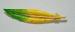 Enamel Feather Brooch by J.J.