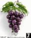 Grapes Pin: Sparkling Rhinestone Sim Pearl Grapes Fruit Pin