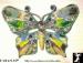 Butterfly Pin: Green Enamel Rhinestone Butterfly Brooch Pin