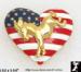Democratic Donkey Pin: Political Democratic Donkey Jewelry '