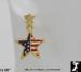 Patriotic Earrings: Patriotic American Flag Star Earrings GT
