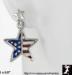 Patriotic Earrings: Patriotic American Flag Star Earrings ST