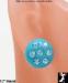 Plastic Rhinestone Button Earrings:Turquoise Plastic Earring