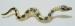 Diamond Back Glittering Snake Brooch
