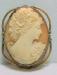 Beautiful Shell Cameo Brooch Pendant