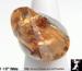 Cubic Zirconia Ring: Huge Fancy Cut Cubic Zirconia Ring