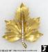 Leaf Pin Brooch: Maple Leaf Brooch Pin, Autumn Leaf Pin